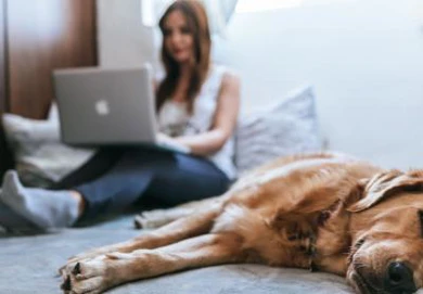 Should I remortgage now?