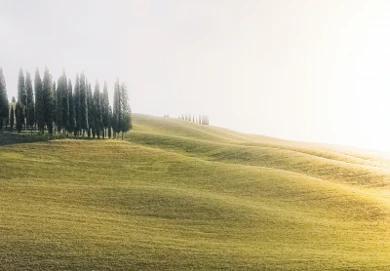 Guide to green mortgages